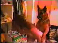 In this beast fucking episode, a dog kindly drills a Dick-deprived, small-tit, legal-age adolescent harlot.